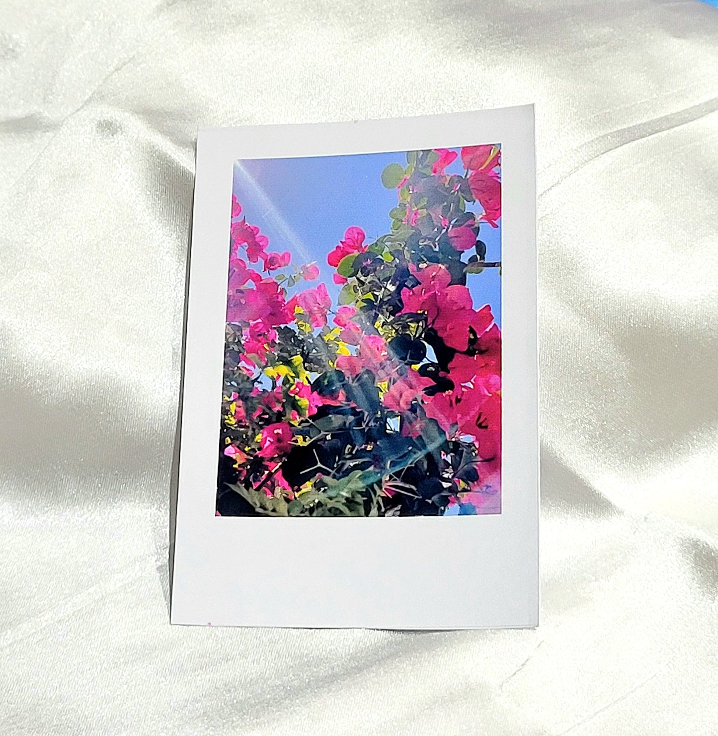Sun-Kissed Bloom – Polaroid