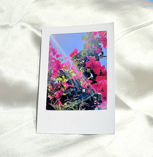 Sun-Kissed Bloom – Polaroid